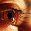 Глаза — основной инструмент блоггера